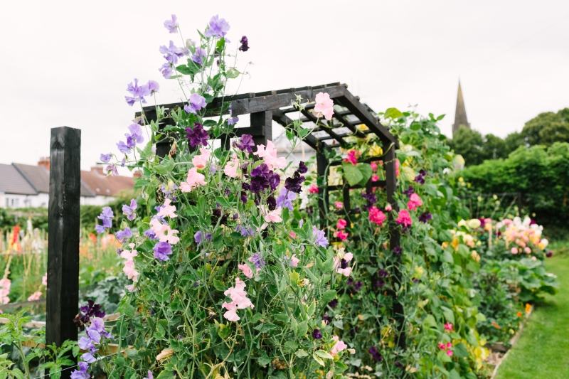 Anne Turner Memorial Allotments